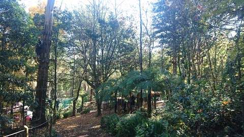 Photo: Trees Adventure - Glen Harrow Park Photo: Trees Adventure - Glen Harrow Park